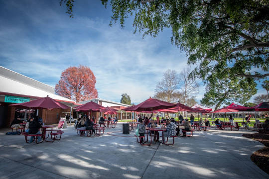 Everytable Courtyard Scene